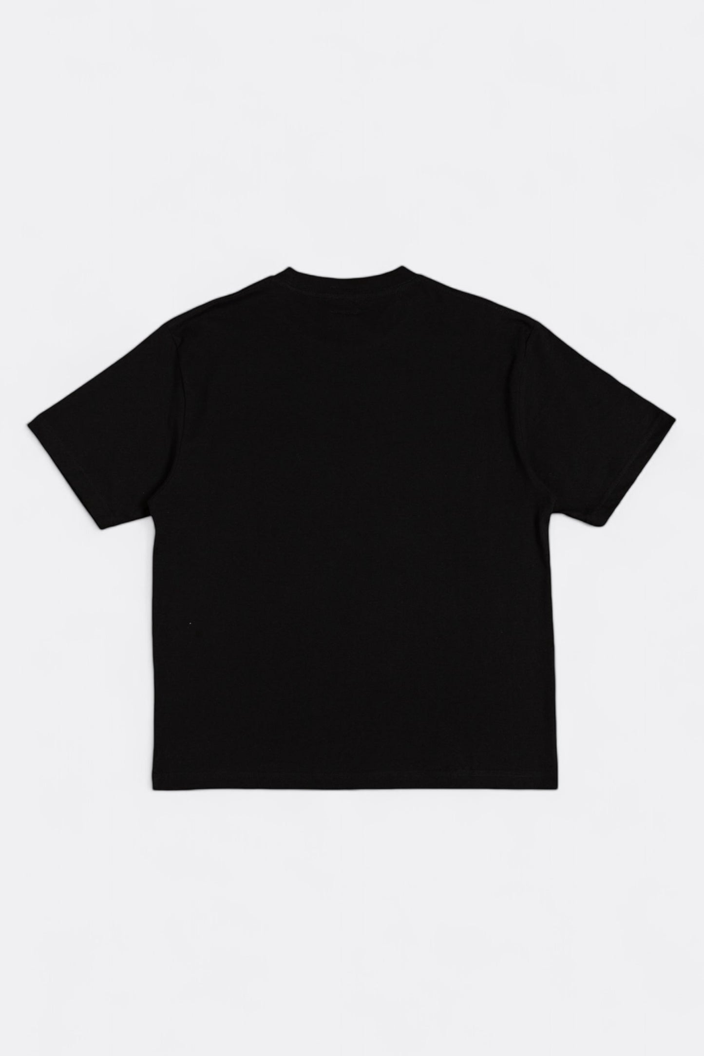 T-Shirt Heresy - Enthusiast Tee (Black)