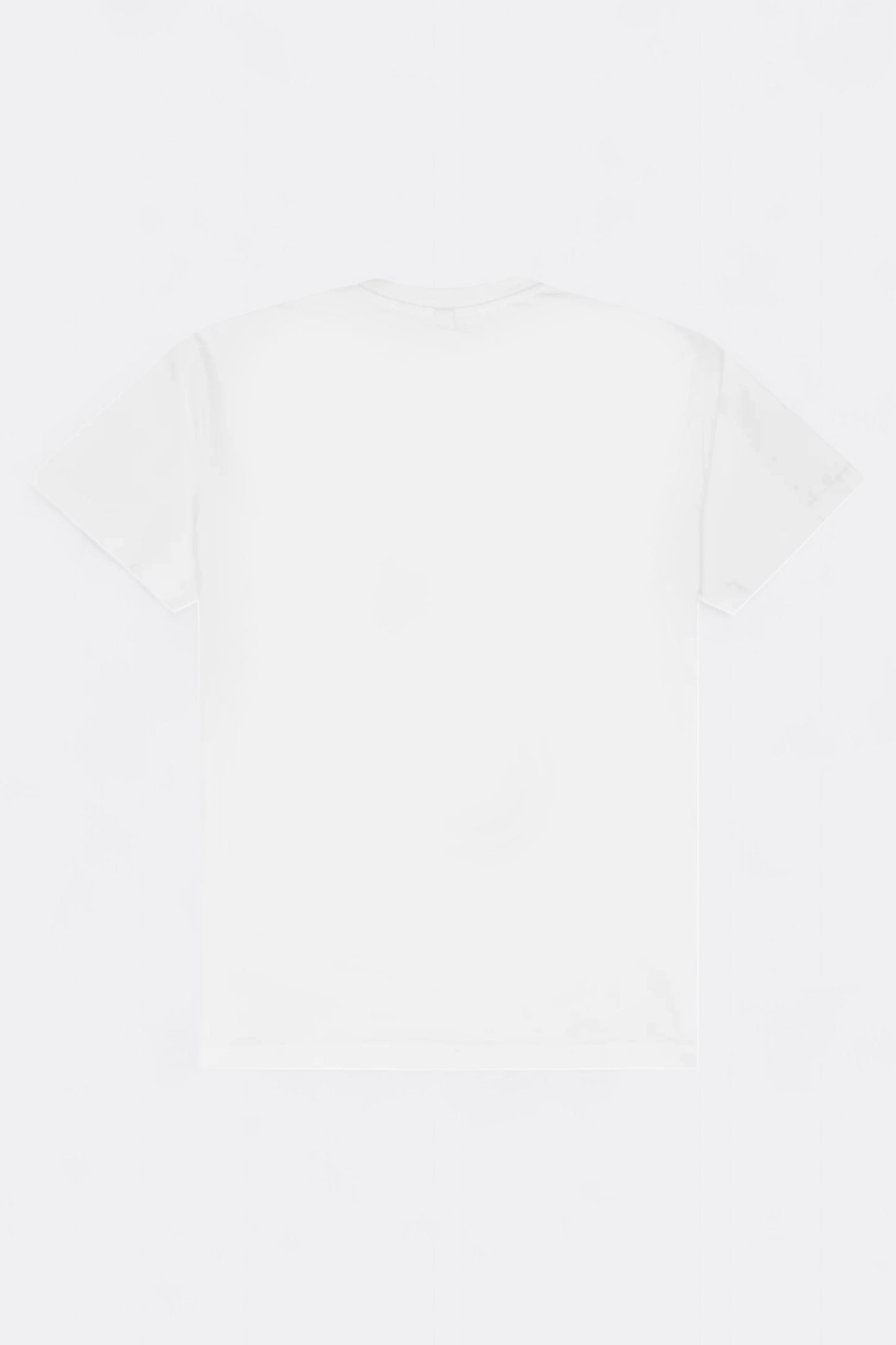 T-Shirt Reception - Bacon SS Tee (White)